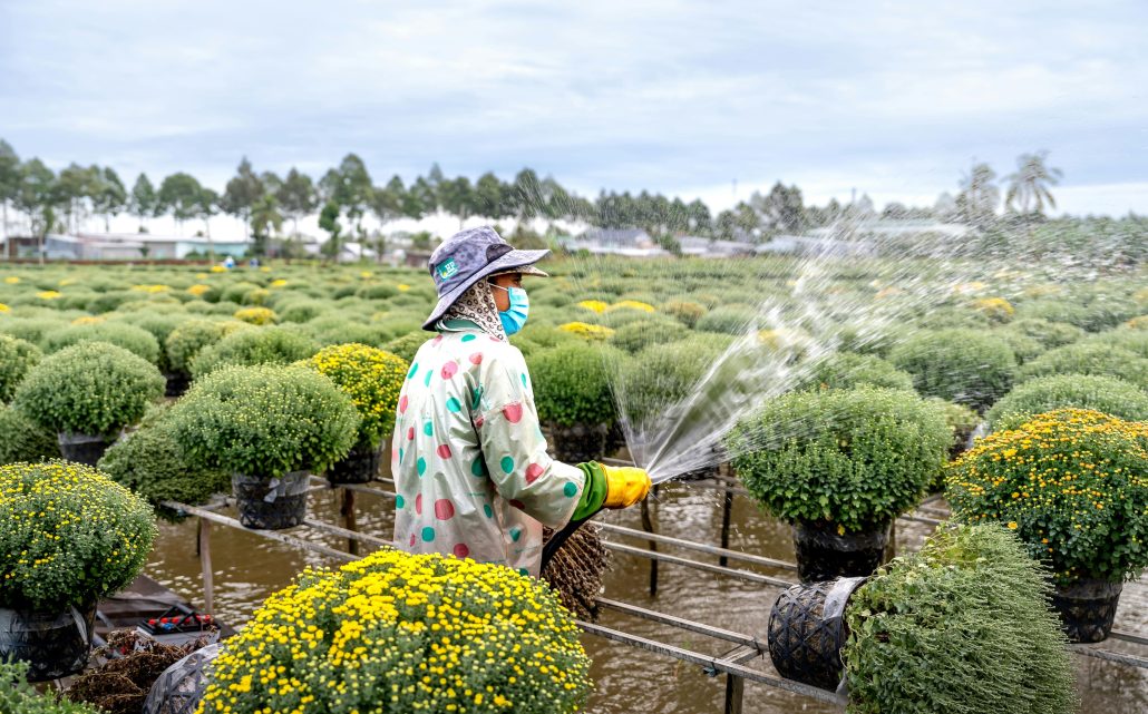 agriculture about min