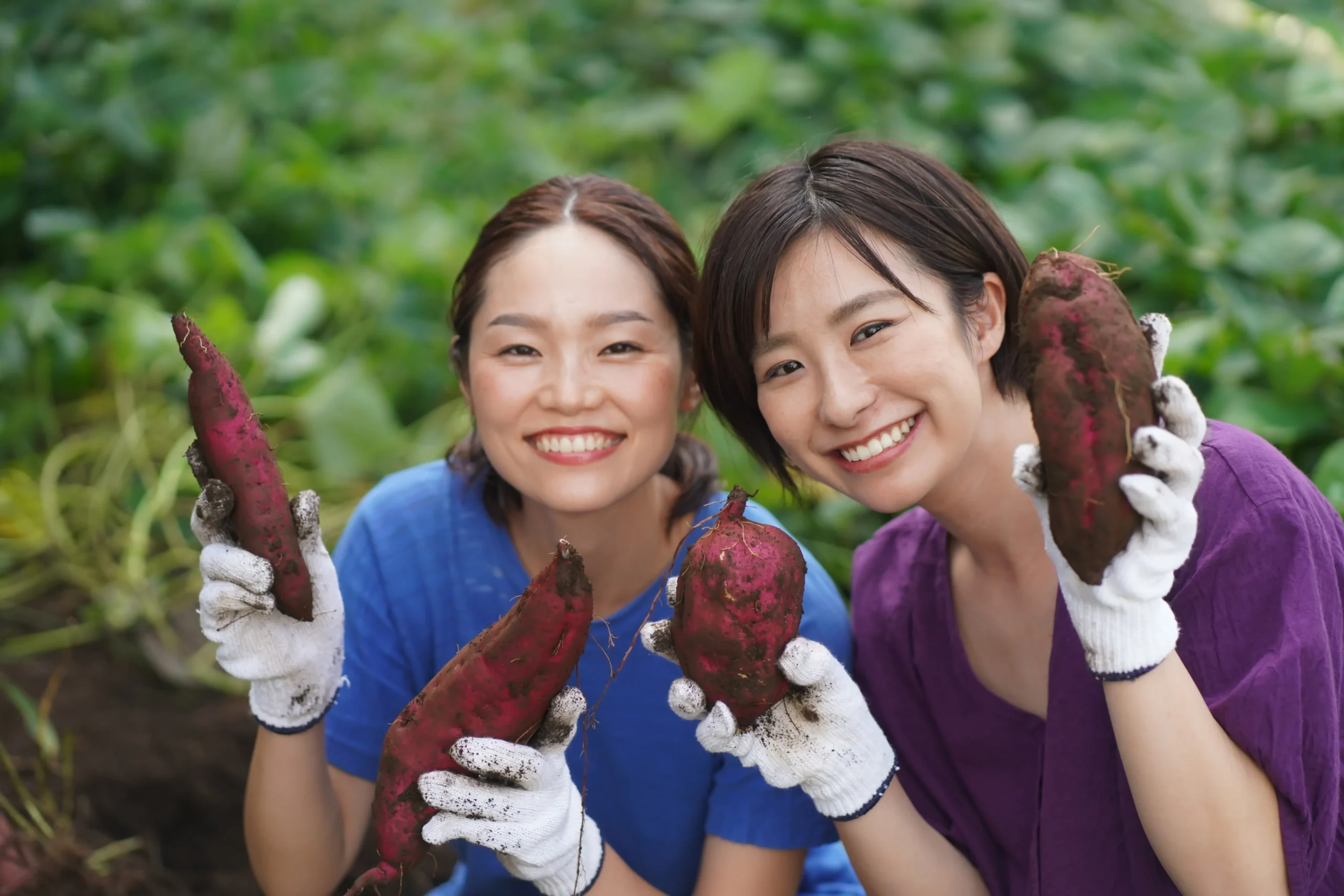 Agriculture and Agri-food 7 reliable workforce scaled