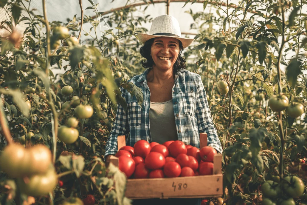 Temporary Staffing 15 temporary staffing farmer
