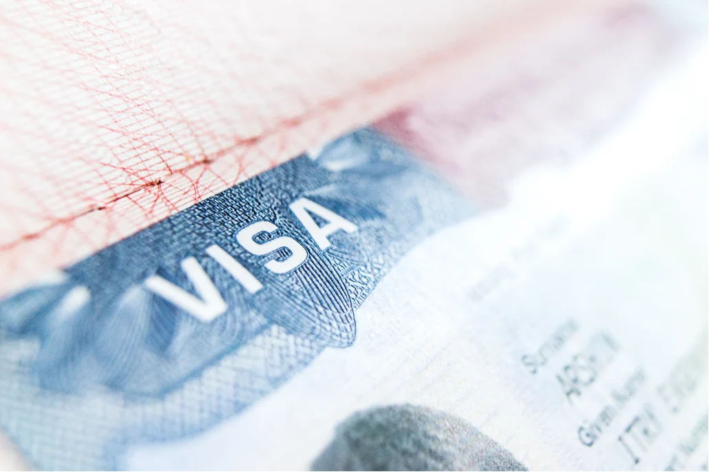 Immigration Services